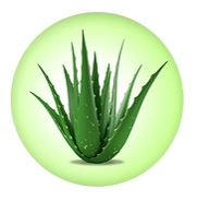 Papilocare obsahuje Aloe Veru, která vykazuje antiseptické a reepitalizaci podporující účinky.